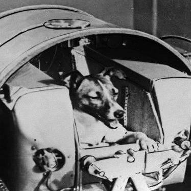 0xpajdo's profile picture. ‘’Yaşayışta sadelik, düşüncede ihtişam’’