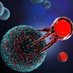 CellTherapyOl (@cell_therapy_ol) Twitter profile photo CellTherapyOl (@cell_therapy_ol) Twitter profile photo