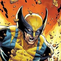 Seife 🐺 (@sj_thewolvie) 's Twitter Profile Photo Seife 🐺 (@sj_thewolvie) 's Twitter Profile Photo