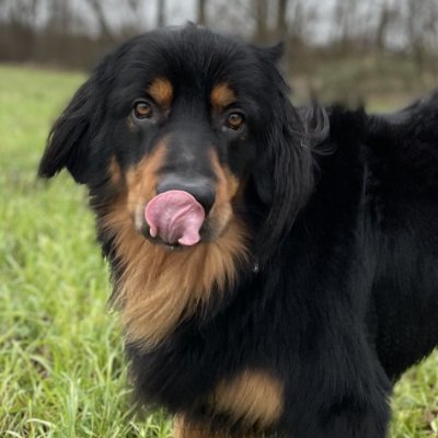 RunMorgans's profile picture. Huge fan of actual facts and of verifying stories. Twitter has become a major source of disinformation and hate. I am only staying for BTS. @runmorgans.bsky.soc