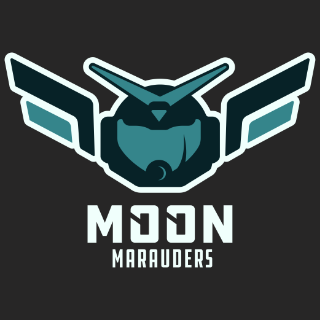 We are not a gaming community, we are a community of gamers. #ToTheMoon🚀