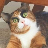Lucy Beer (@webtw) 's Twitter Profile Photo Lucy Beer (@webtw) 's Twitter Profile Photo