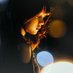 七々夜 (@nny_3a) Twitter profile photo 七々夜 (@nny_3a) Twitter profile photo