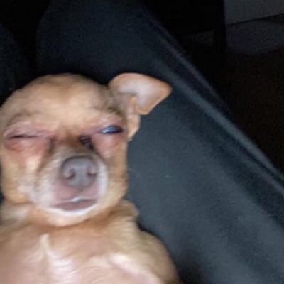 Only1Cmos's profile picture. Non-smoker.