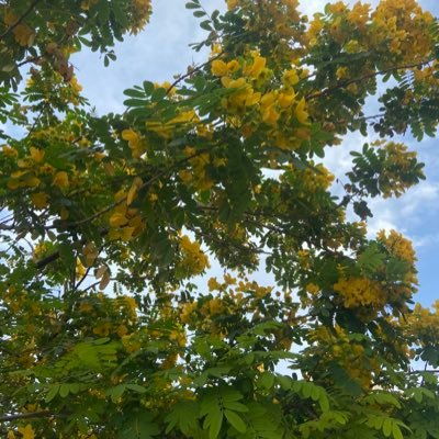 ihnody19's profile picture. 