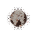 .ᐟ (@everrsarah) Twitter profile photo .ᐟ (@everrsarah) Twitter profile photo