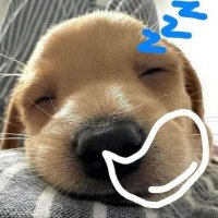 SoyDizzy (@soydizzy_) 's Twitter Profile