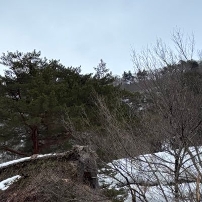 Mi7773__'s profile picture. 