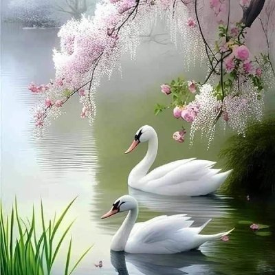 jaiswalanup0891's profile picture.
