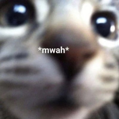 wpan_buidl's profile picture. fortis fortuna adiuvat