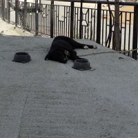 muktedir/ (@_governorr_) Twitter profile photo