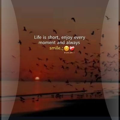 SaqibAli3770's profile picture. always chatting 😺