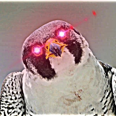 just trying to make it
$BOLT 7Y6Rix8X2botuMaJ2mno4UqSWdQZqU4RezY6qp7zpump
$USDUC CB9dDufT3ZuQXqqSfa1c5kY935TEreyBw9XJXxHKpump