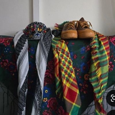 kurdaryan20's profile picture. 