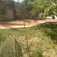 احمد داهش / ابو مسفر (@aamd1378) 's Twitter Profile