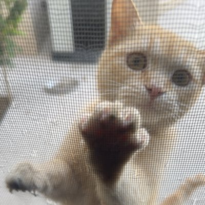 q1cu_'s profile picture. 