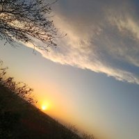 Conscious (@sandeepatheist) 's Twitter Profile
