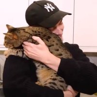 Maisy ๐ฆท// seeing james marriott era (@xpleaseplzplzx) 's Twitter Profile Photo Maisy ๐ฆท// seeing james marriott era (@xpleaseplzplzx) 's Twitter Profile Photo
