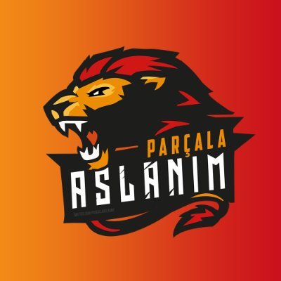 Parçala Aslanım Profile