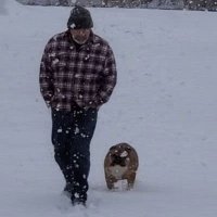 Deplorable Bulldog 🫡 🇺🇲 (@al_bulldogpuyol) 's Twitter Profile Photo Deplorable Bulldog 🫡 🇺🇲 (@al_bulldogpuyol) 's Twitter Profile Photo