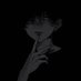 BoyGotFeelings (@mubbiiyyyy) Twitter profile photo BoyGotFeelings (@mubbiiyyyy) Twitter profile photo