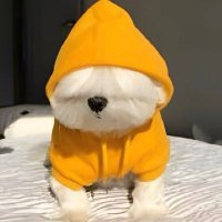 $Dripdog (@dripdog_sol_cto) 's Twitter Profile Photo $Dripdog (@dripdog_sol_cto) 's Twitter Profile Photo