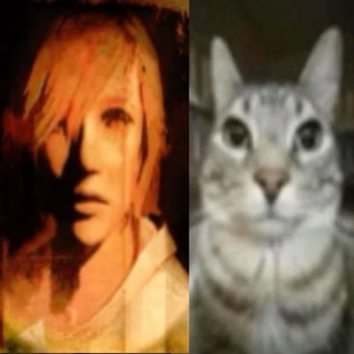 trcer119368's profile picture. 