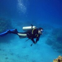 Eugenio Tropeano (@eugetrop) 's Twitter Profile