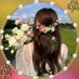 قٌـ,ـمـْـْْـْري🥀 (@zulfiqarr1) Twitter profile photo قٌـ,ـمـْـْْـْري🥀 (@zulfiqarr1) Twitter profile photo