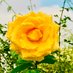 حسام لبيب Hossam Labib (@mohamed23750174) Twitter profile photo حسام لبيب Hossam Labib (@mohamed23750174) Twitter profile photo