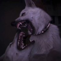 groady toady (@nymphetishh) 's Twitter Profile