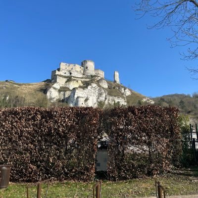 frenchboy1966's profile picture. Ancien soldat 43 ème BIMA Côte d’Ivoire (1985) Patriote 🇫🇷🐓🎖️✝️🎗️🏡🦮Château Gaillard 🏰