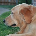 Bill Wray - @billewr - Twitter