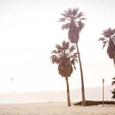 GlancePome71360's profile picture. 