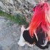 𝑴𝒊𝒎𝒊 ☽ (@mirkernes) Twitter profile photo 𝑴𝒊𝒎𝒊 ☽ (@mirkernes) Twitter profile photo