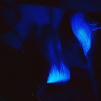 Mai (@maielawady3) Twitter profile photo