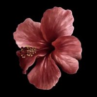 ◡̈ (@374479i563) 's Twitter Profile Photo ◡̈ (@374479i563) 's Twitter Profile Photo