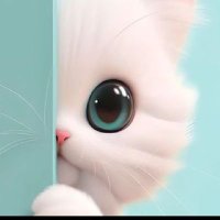 Alex (@alito0003) 's Twitter Profile