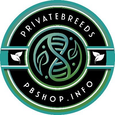 🇨🇦 Showcasing My Work 📸 - Breeding Beyond Boundaries - No DMs, Please Email support@pbshop.info 🙏
https://t.co/cJYRH4DMSg