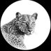 العبدلي .. 𓂆 (@a7mad_q8ti19) Twitter profile photo العبدلي .. 𓂆 (@a7mad_q8ti19) Twitter profile photo