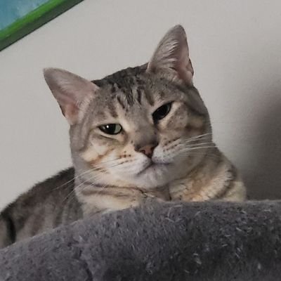 minna_marie7's profile picture. 