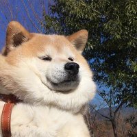 l ll ll ll ll x (@lxlxlx7788) 's Twitter Profile