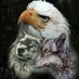 Mert Fırat (@mertfirat1980) Twitter profile photo Mert Fırat (@mertfirat1980) Twitter profile photo