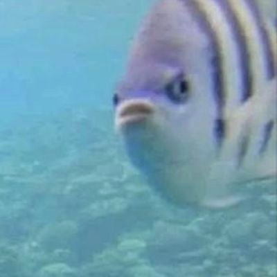 RanaRashad1234's profile picture. 