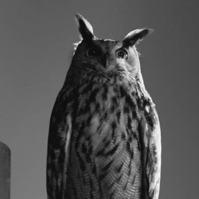 only1victorr's profile picture. Jesus Is King✝️OVO🦉SN🩺OUTSIDER🦍CHELSEA💙