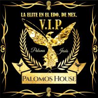 Palomos House (@housepalomos) 's Twitter Profile