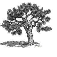 Josh Siteman (@jdsiteman) 's Twitter Profile Photo