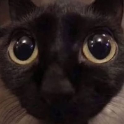 SuPaRsAnIc1's profile picture. 