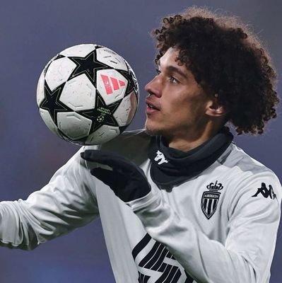 Lolo_pelegrinii's profile picture. 