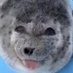 a (@feelcompiete) Twitter profile photo a (@feelcompiete) Twitter profile photo